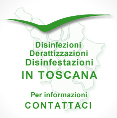 contatti per derattizzazioni, disinfestazioni e disinfezioni in toscana